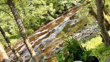 Ein Fluss fließt durch ein bewaldetes Gebiet, im Vordergrund befindet sich eine Bank und eine Tasse.