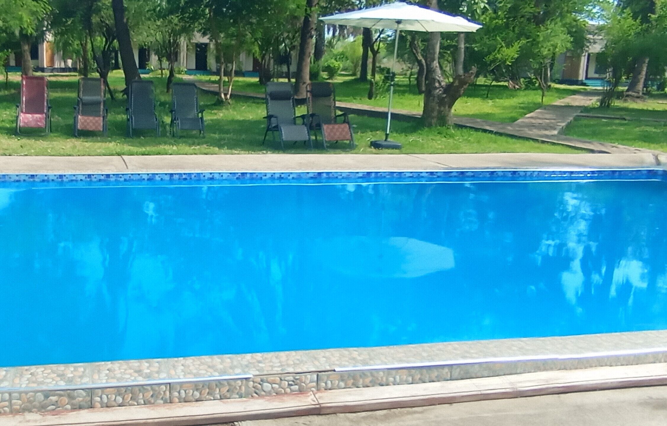 Une piscine dont le bord est revêtu de carrelage, entourée de pelouse et d’arbres.