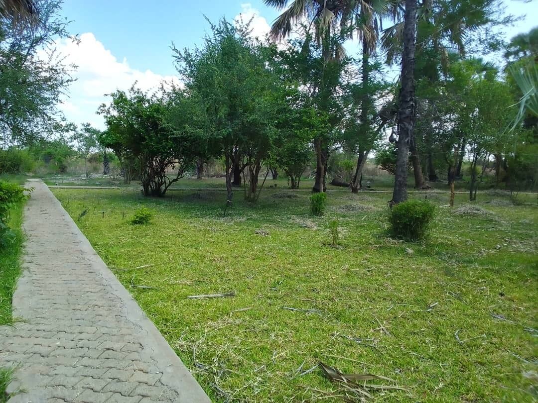 A paved pathway leading through a grassy area with trees and shrubs.
