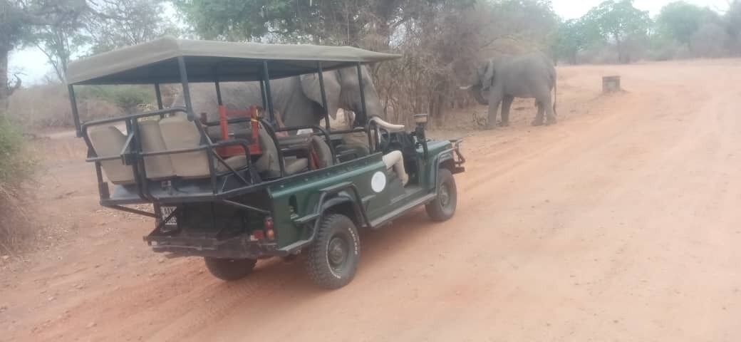 Un vehículo safari con techo y asientos, estacionado en un camino de tierra con un elefante al fondo.