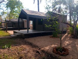 Um camping com tendas, uma área de estar coberta e uma pequena árvore.