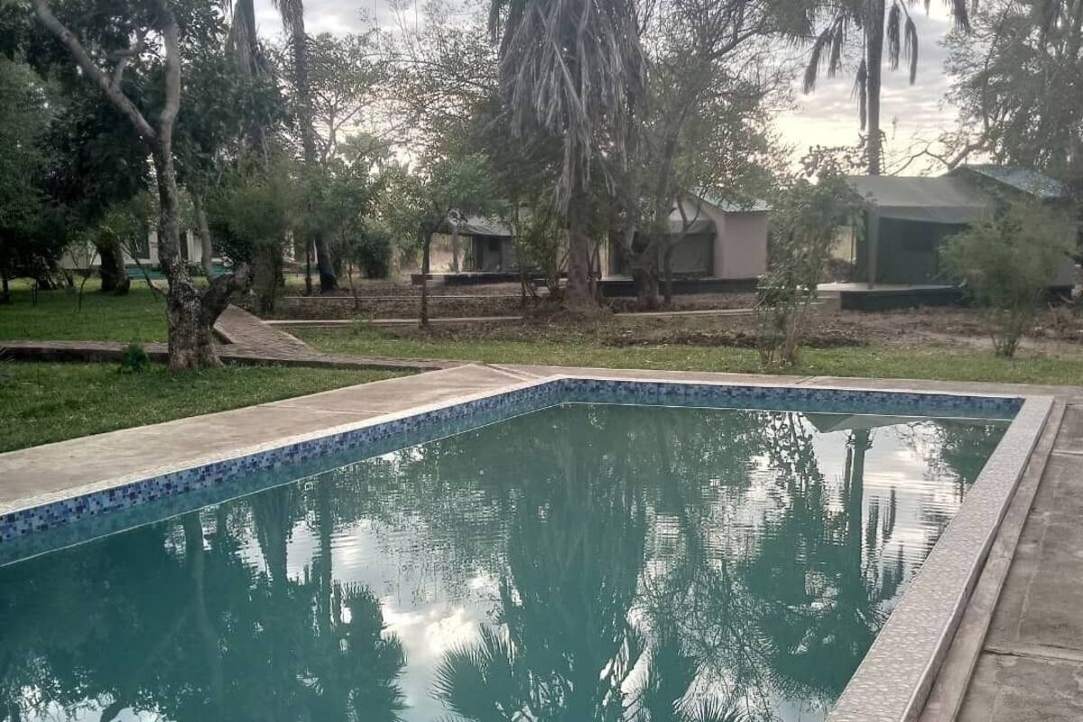 Une piscine rectangulaire dont le bord est recouvert de carreaux, entourée d’une pelouse et d’arbres.