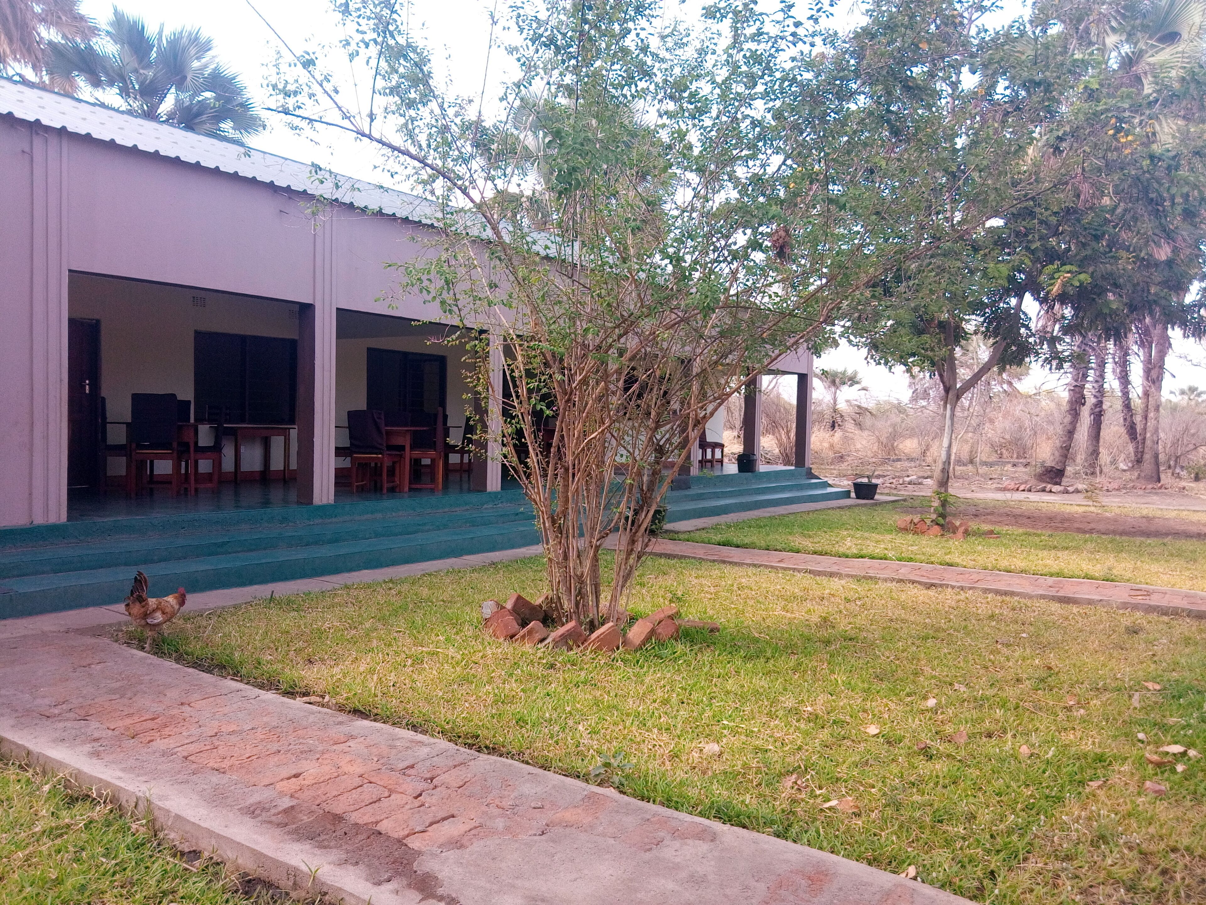 A building with a covered outdoor seating area, a grassy lawn, and a tree.