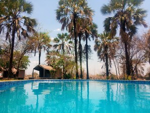 Una piscina azul cristalina rodeada de altas palmeras y un pequeño edificio.