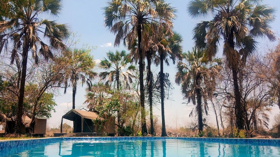 Royal South Luangwa Safaris Lodge