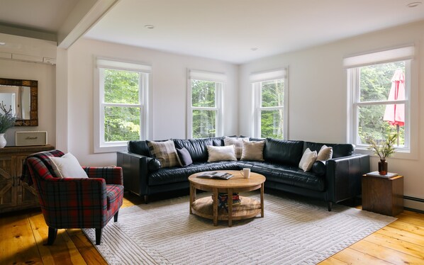 Smart TV, fireplace, video games, books