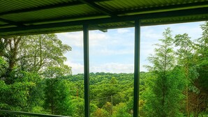 A covered outdoor area with a wet floor, large windows, and a view of a lush green landscape. - Cozy cabin surrounded by nature with breathtaking views for total relaxation (Heredia Province)