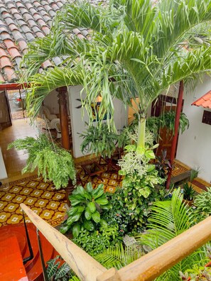Property grounds - Colonial Home in the Center of Granada. (Granada)