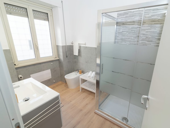 Shower, hair dryer, bidet, towels