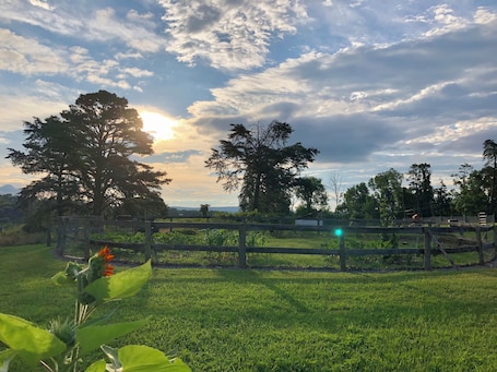 Property grounds. Charming Cottage on 15 Acre Farm near Romney, WV