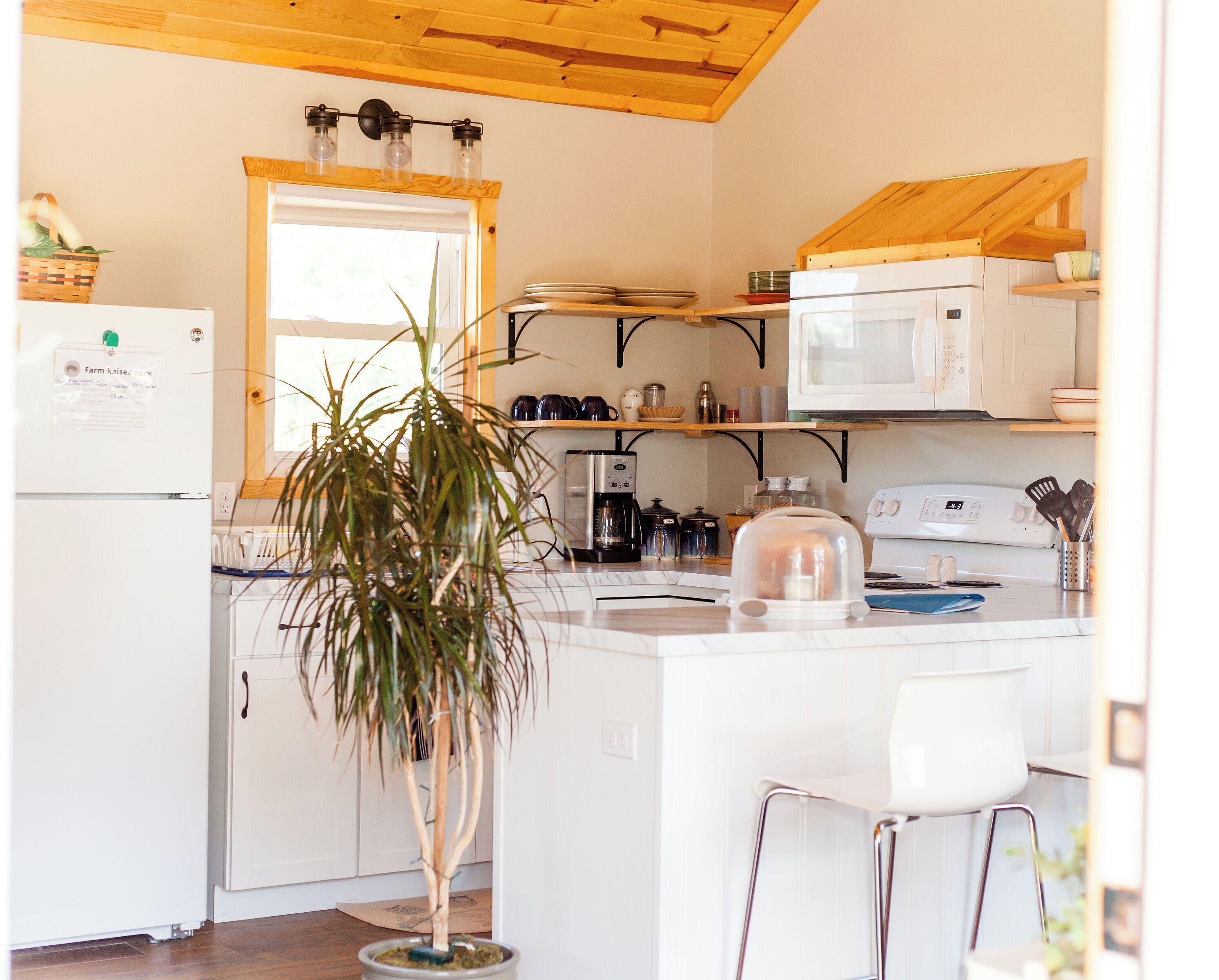 Una cocina con refrigerador, microondas, cafetera y una planta en maceta.