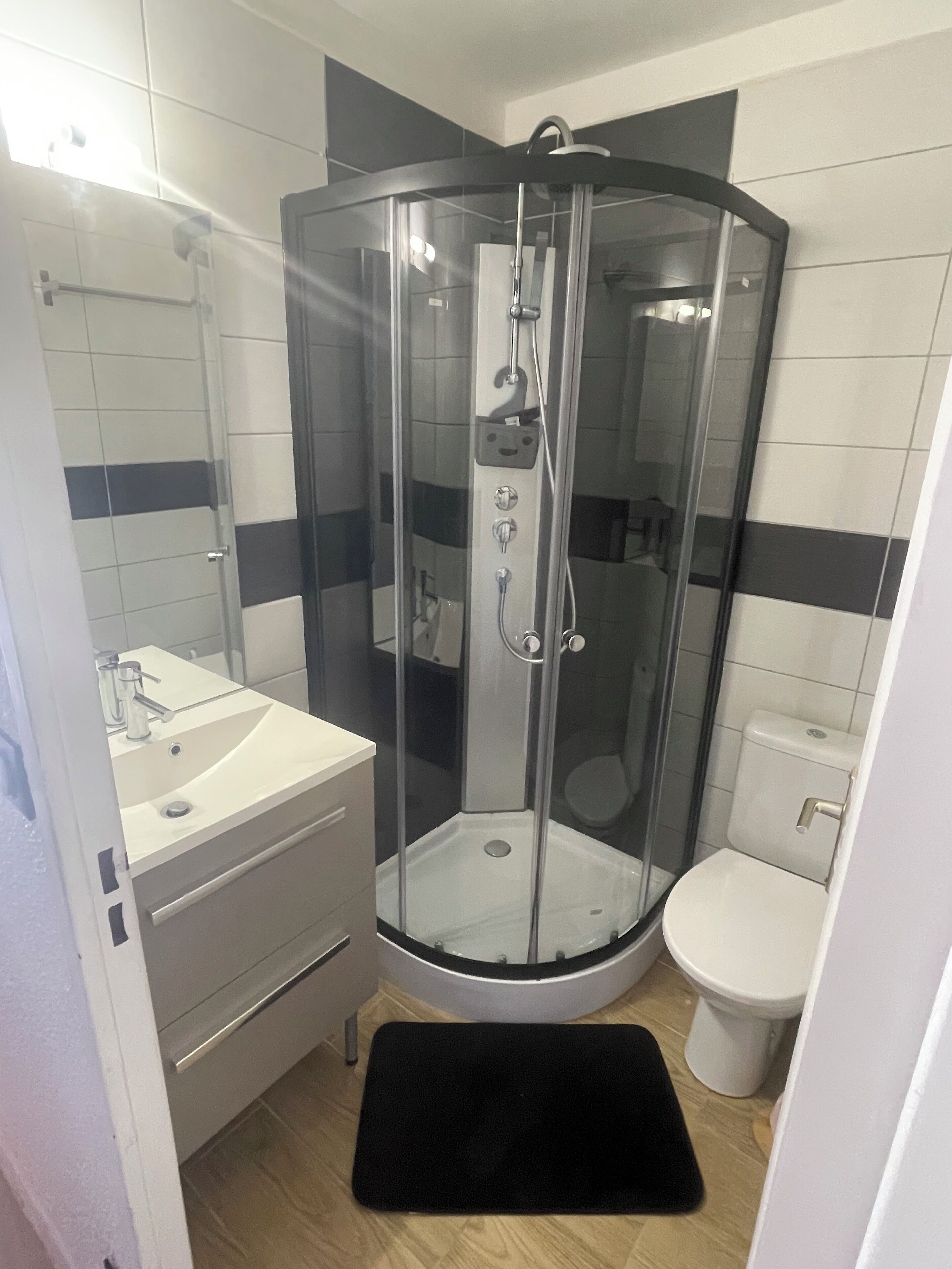 Shower, hair dryer, toilet paper