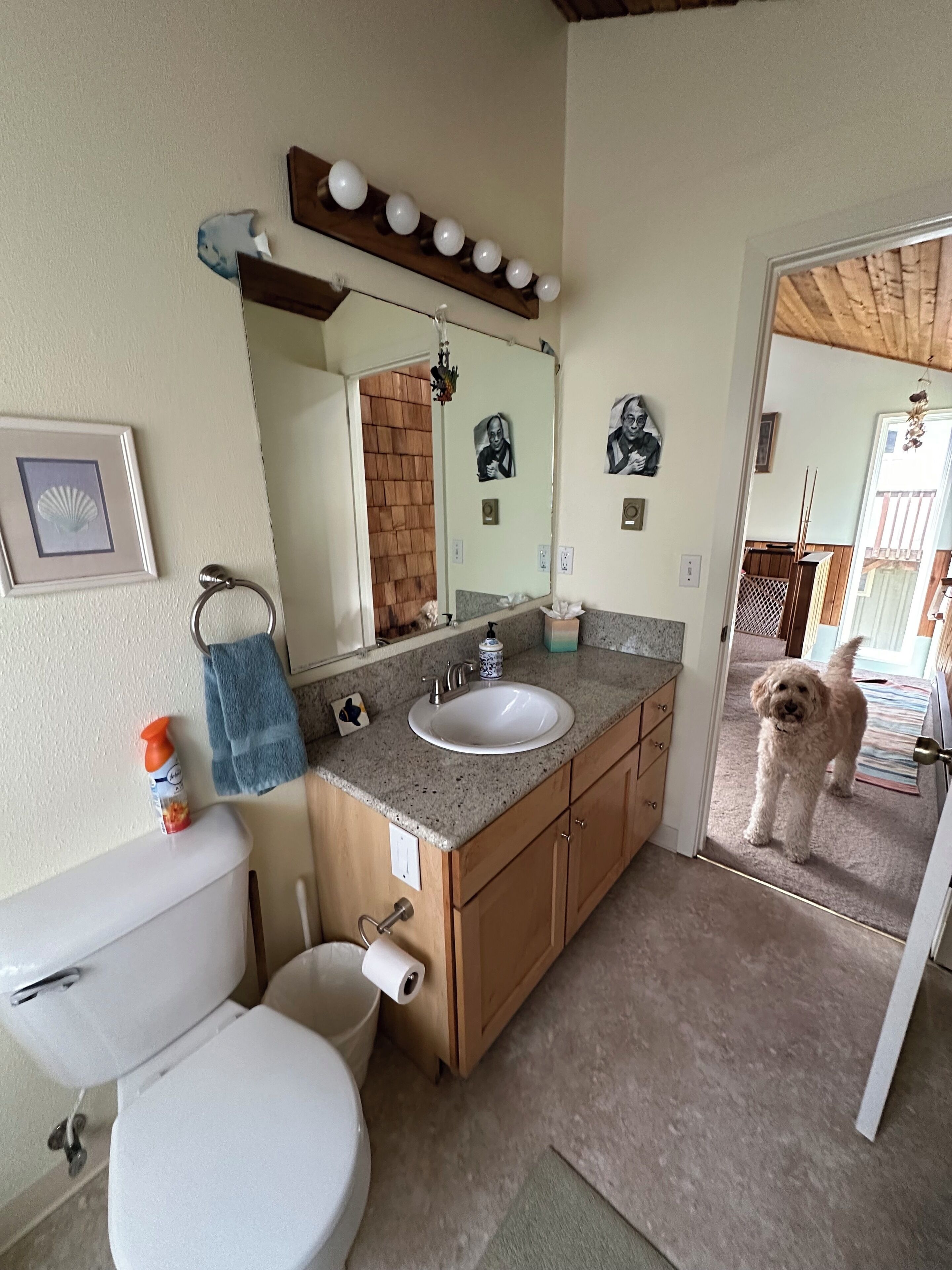 A bathroom with a toilet, sink, and mirror. There is a towel rack, a picture frame, and a small bottle on the counter.