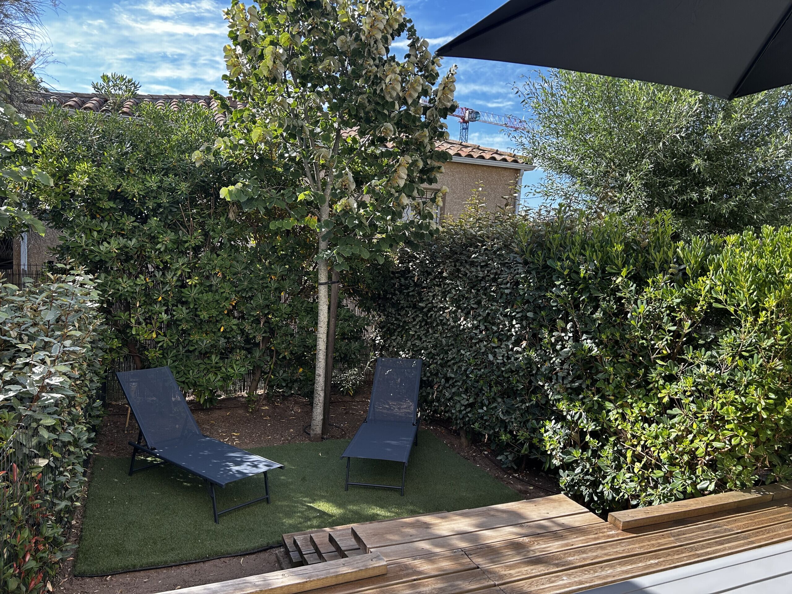 A backyard with two sun loungers, a tree, and a building in the background.