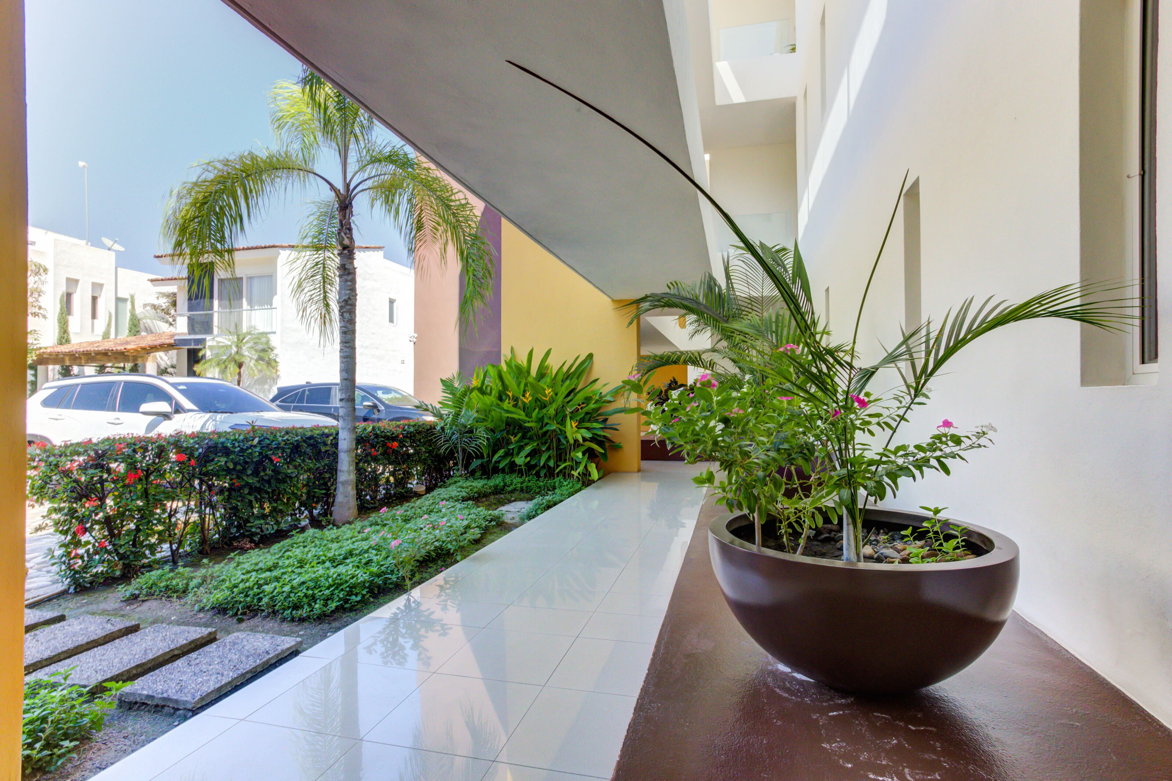 Un pasillo moderno de hotel con una planta grande en maceta, piso de baldosas y vistas a coches aparcados y edificios.