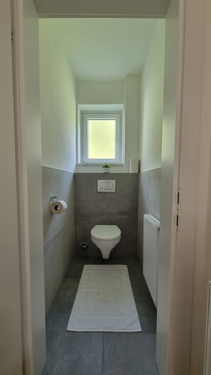 Shower, towels, toilet paper