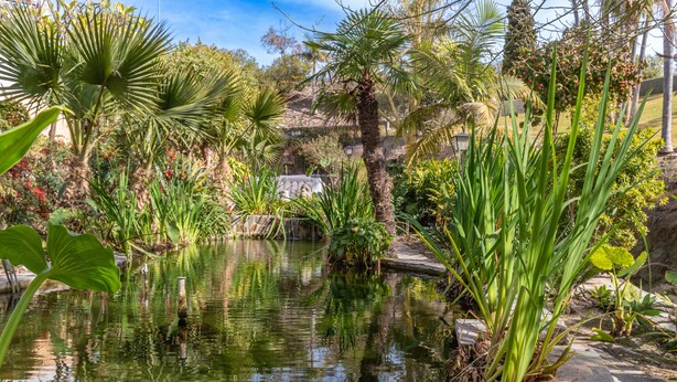 A serene garden with a pond, various plants, and a stone pathway. - Las Palmas 20c - El Oasis de Capistrano (Nerja)