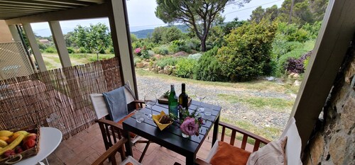 Il Giardino vista mare in collina a Nibbiaia, tranquillità a 10 minuti dal mare.