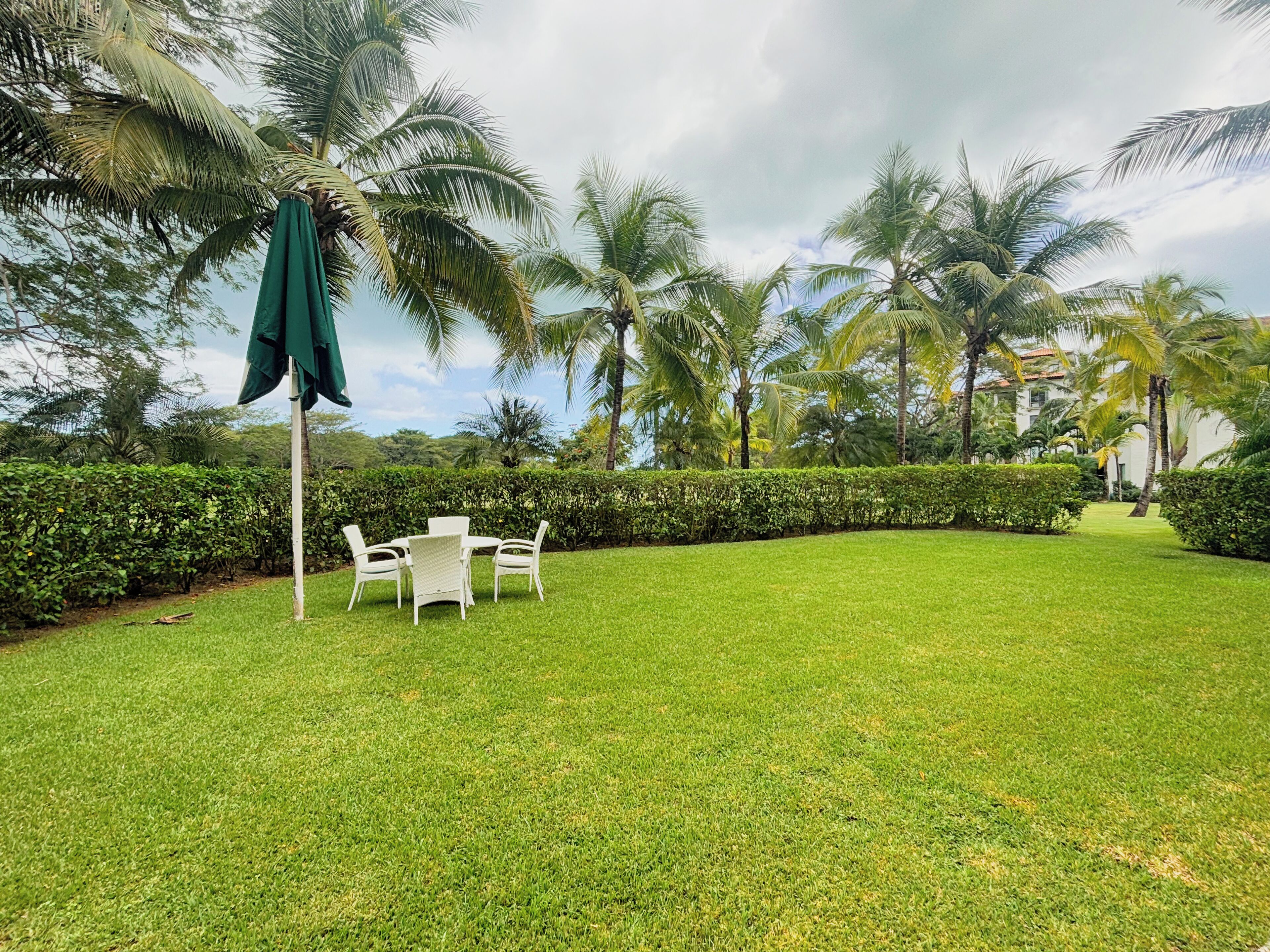 A well-maintained grassy lawn with a white table and chairs, surrounded by palm trees and a hedge.