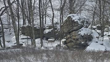 Een besneeuwd landschap met kale bomen en een grote rotsformatie, bedekt met sneeuw.