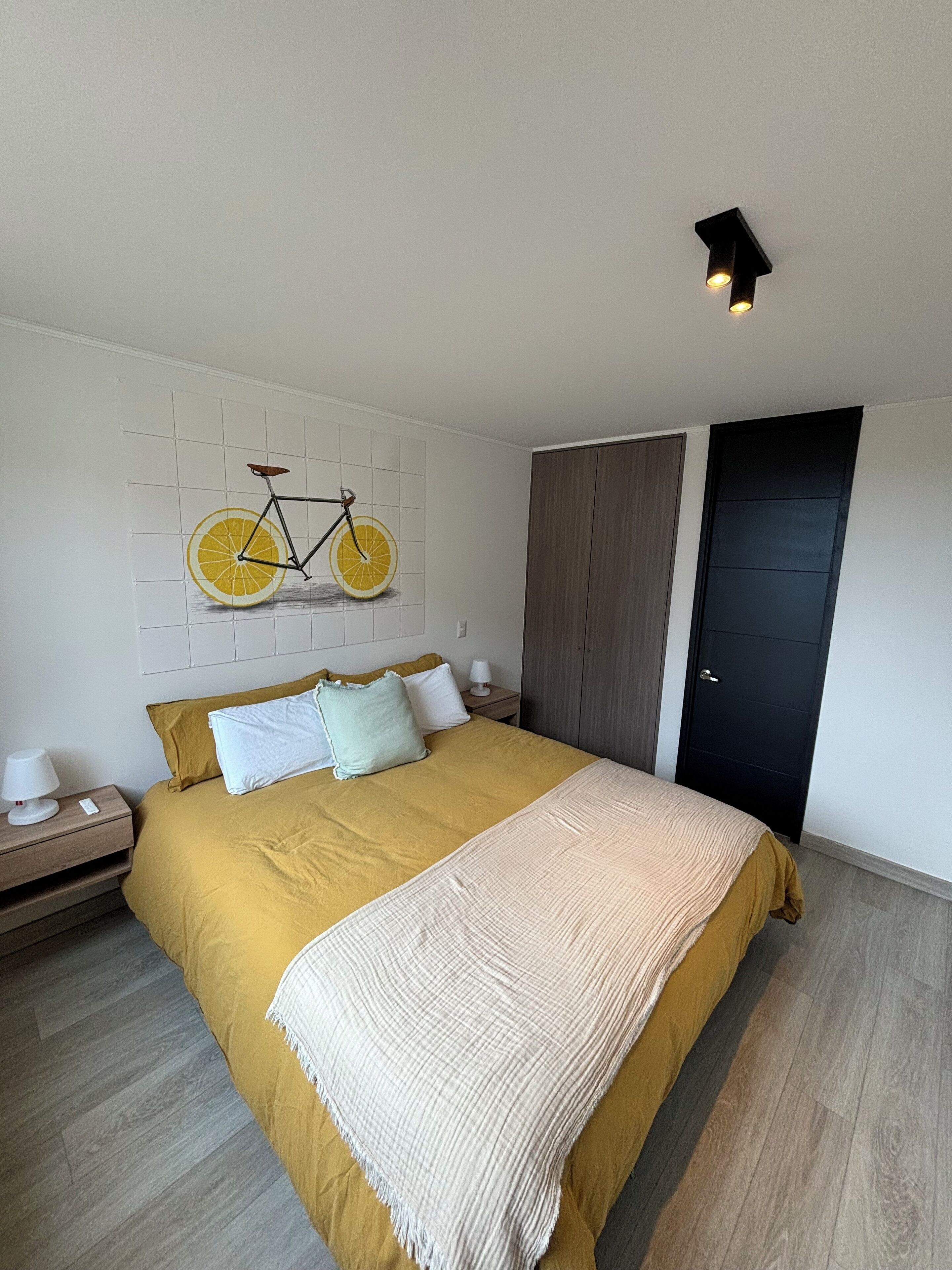 Een slaapkamer met een groot bed, een fietskunstwerk aan de muur, een kledingkast en een deur.