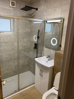 A modern bathroom with a glass-enclosed shower, a white sink, and a toilet.