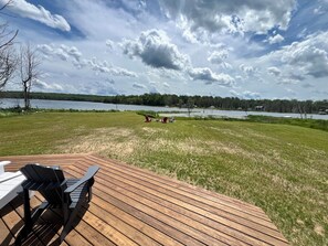 Terras