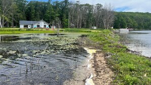 Une propriété au bord du lac comprenant une maison, un quai et une zone boisée.