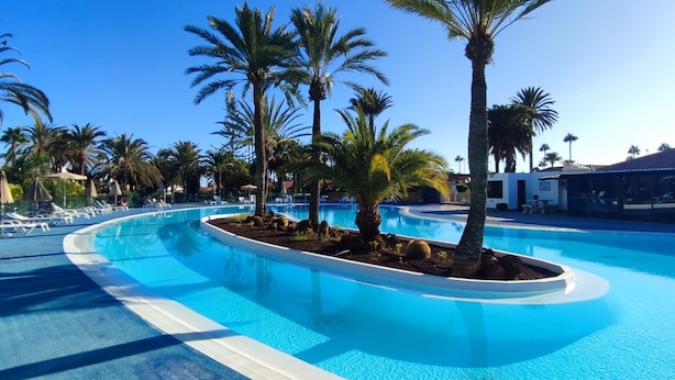 Piscina con palme, lettini e una zona coperta.
