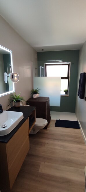 Ducha, secador de pelo, bidé y toallas