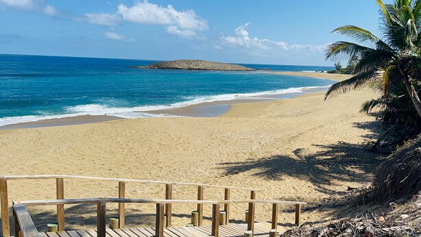Ein Strand mit einem hölzernen Steg, der zum Ufer führt, einer Palme und einer steinigen Insel im Hintergrund.