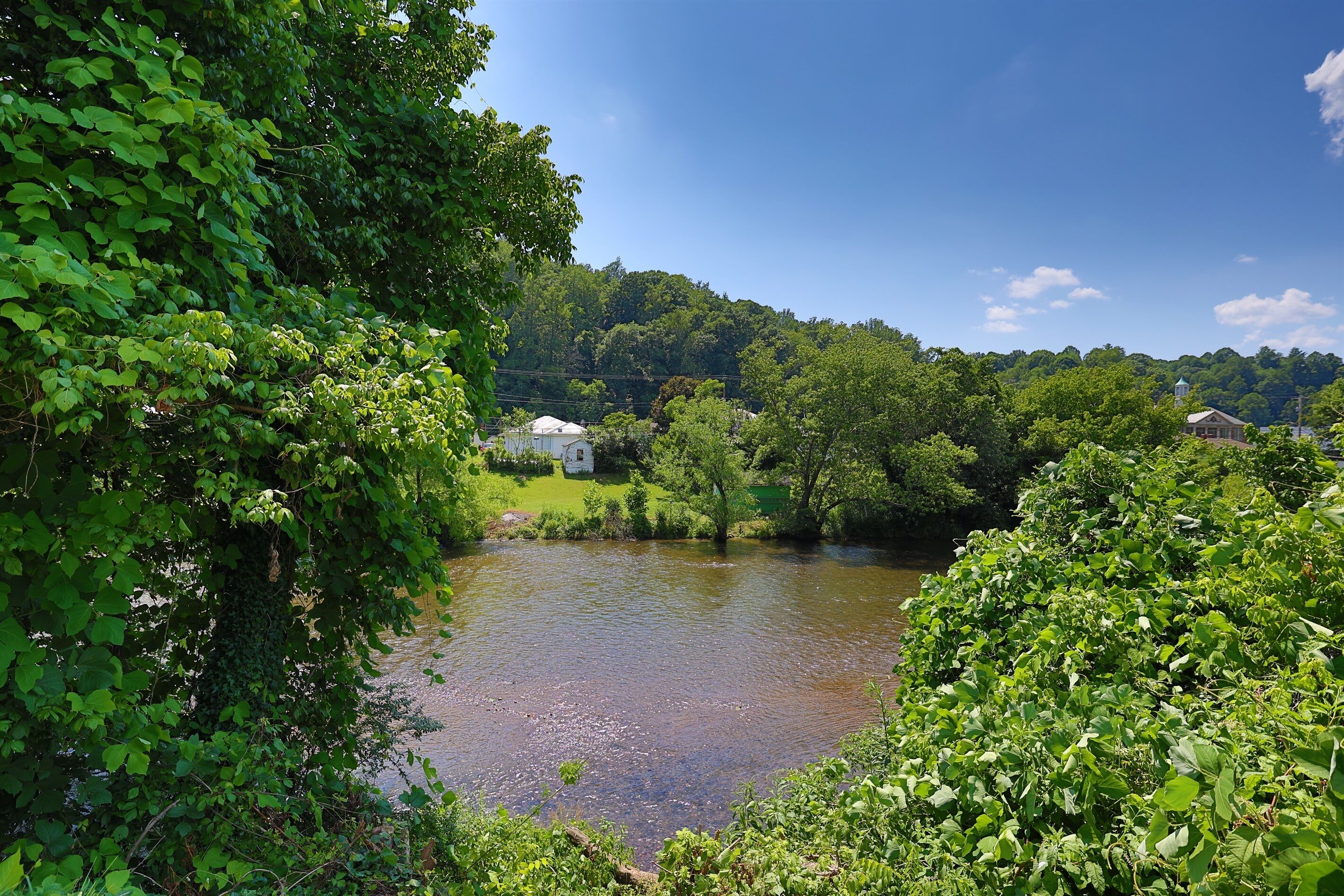 A river with a house on the bank, surrounded by dense greenery and trees.