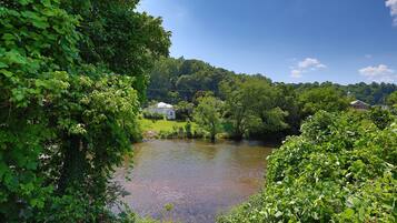A river with a house on the bank, surrounded by dense greenery and trees.