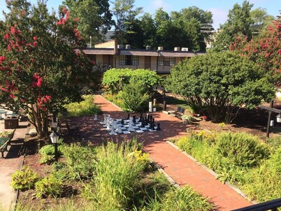 Stylish Flat in DT Durham-Sep A/C-downtown walkable