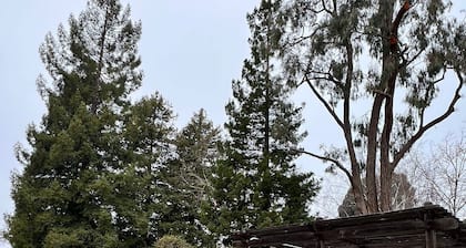 Charming Bay Area in Benicia: Nature & City Life