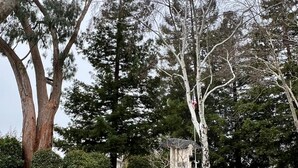 Un jardín bien cuidado con árboles maduros, un pabellón y un camino.