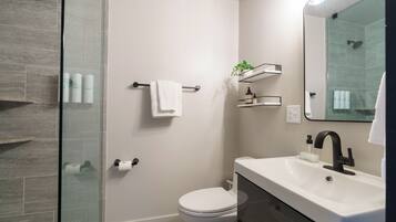 Shower, eco-friendly toiletries, hair dryer, towels