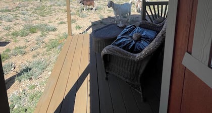 Terrific 1-bedroom cabin in Belfry with Mountain View