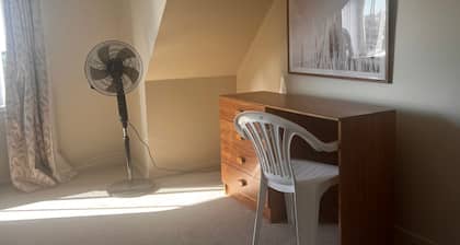 Entire top floor with privacy+ private bathroom+mini kitchenette+tree top views