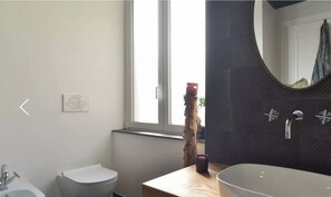 Shower, hair dryer, bidet, towels