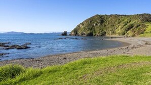 A coastal landscape with a beach, rocky outcrops, and a grassy area.