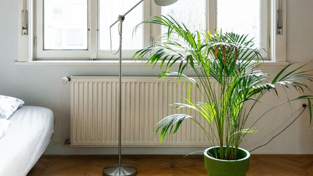 Una habitación con una cama, un radiador, una ventana con persianas, una lámpara de pie y una planta en maceta.