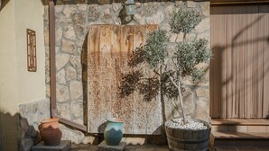 Un mur de pierre, une porte en bois et une plante en pot.