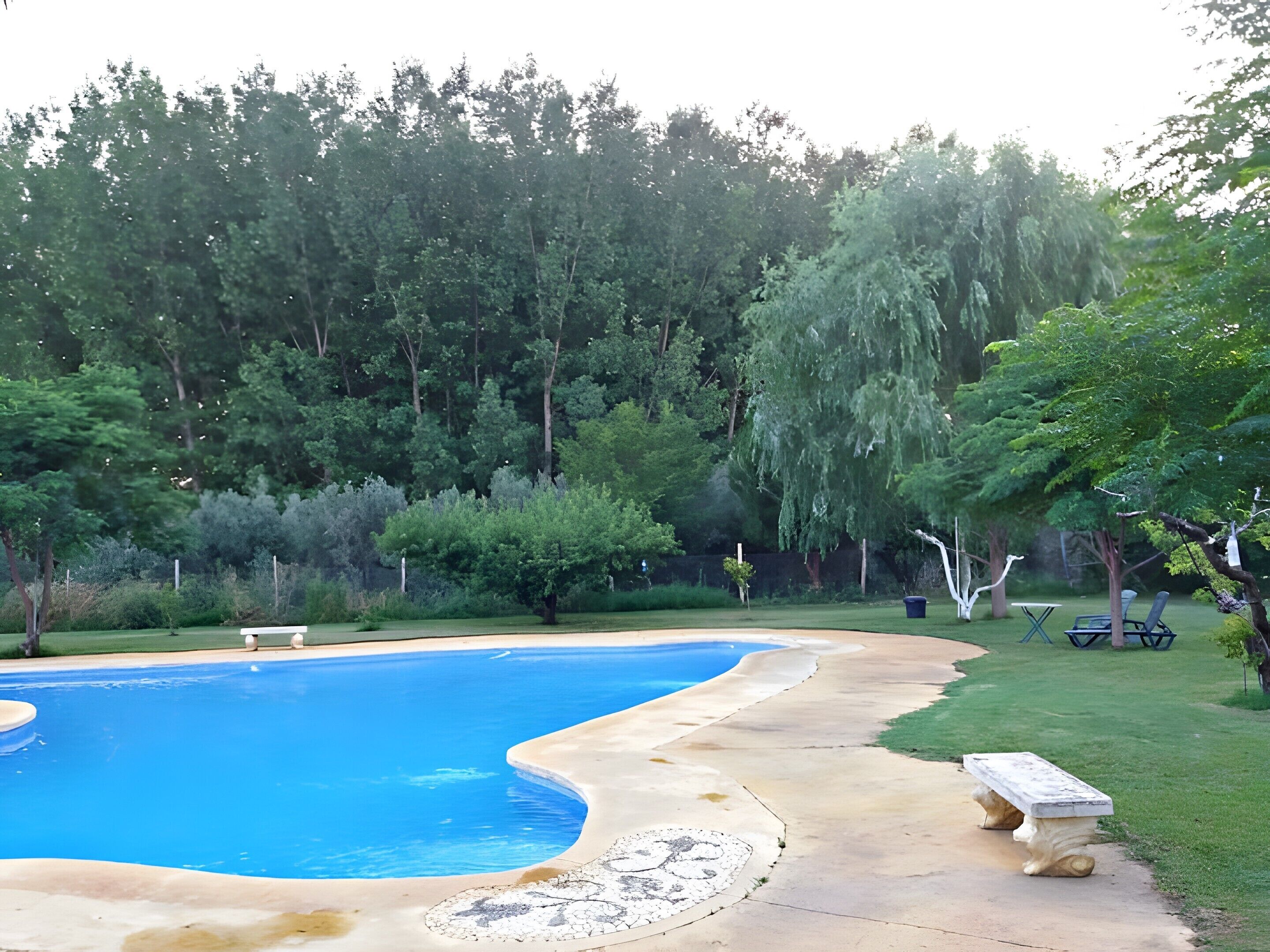 Piscina com borda curva, rodeada por um deck de concreto, um banco de pedra e um exuberante cenário de árvores e arbustos.