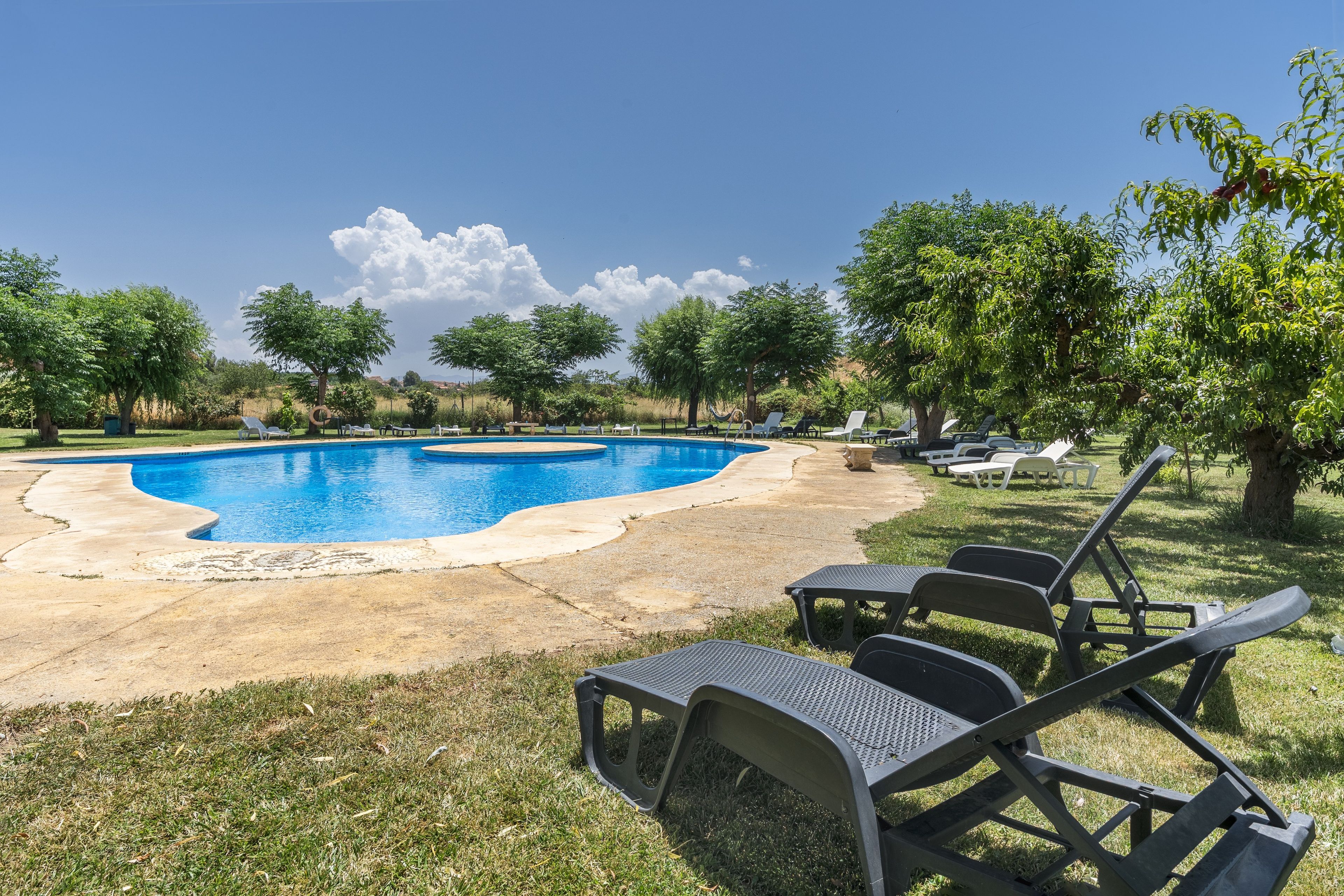 Une piscine avec des chaises longues et des arbres en arrière-plan.
