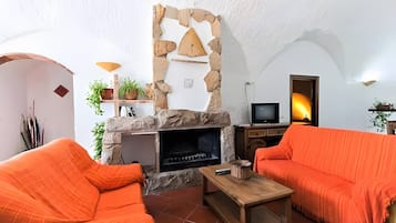 Télévision, cheminée, lecteur de DVD, table de tennis de table