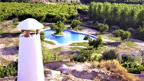 Ein Pool, umgeben von Grün und mit einem Berg im Hintergrund.