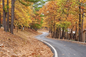 A winding road flanked by trees with autumn foliage.