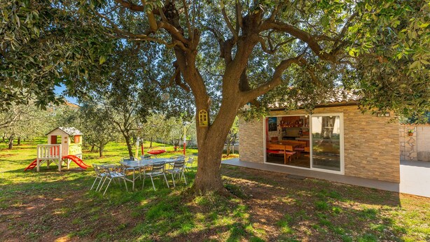 A tree-lined outdoor area with a play structure, a dining table with chairs, and a building with a glass door.