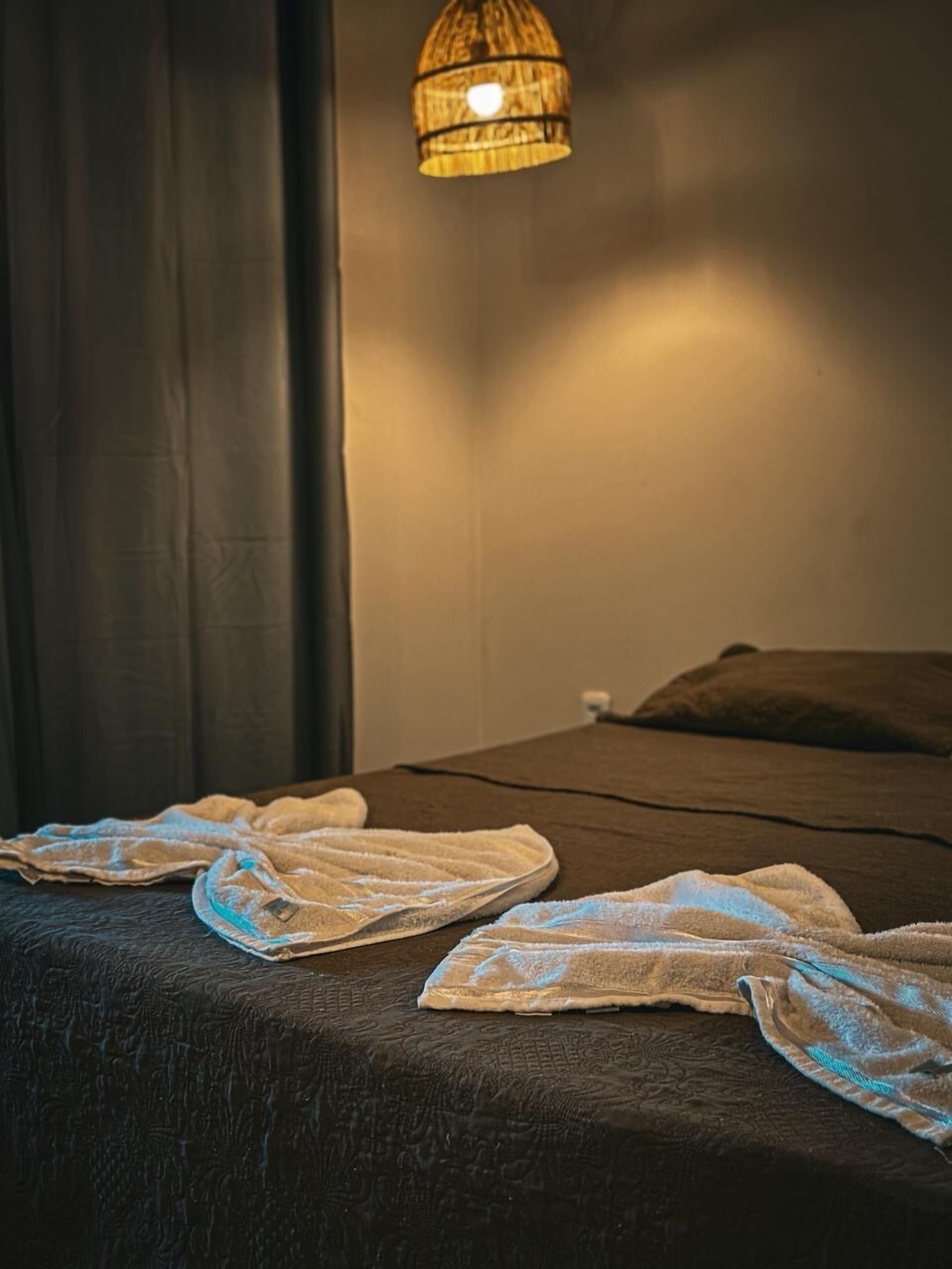 Comfort-huone, 1 keskisuuri parisänky | Minibaari, ilmainen Wi-Fi, vuodevaatteet